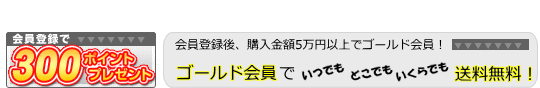 ゴールド会員で送料無料